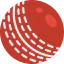 Cricket icon 64x64