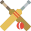 Cricket icon 64x64