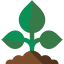 Sprout іконка 64x64