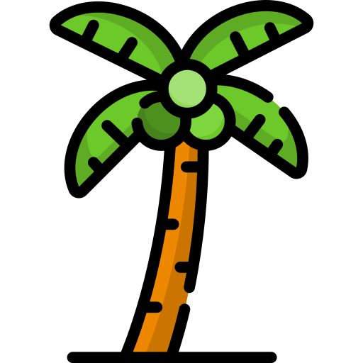 Coconut tree icon