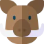 Boar icon 64x64