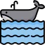 Whale 상 64x64