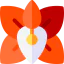 Orchid icon 64x64