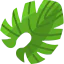 Leaf 图标 64x64