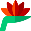 Bird of paradise icon 64x64