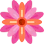 Flower 图标 64x64