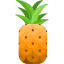 Pineapple 图标 64x64