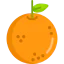 Orange 图标 64x64