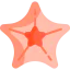 Starfish Symbol 64x64