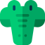 Crocodile icon 64x64
