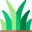Grass icon 64x64