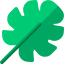 Monstera icon 64x64
