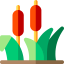 Typha icon 64x64