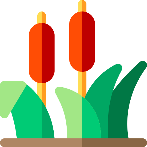 Typha icon