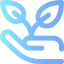 Sprout icon 64x64