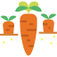 Carrot icon 64x64