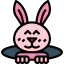 Rabbit icon 64x64