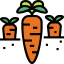 Carrot icon 64x64