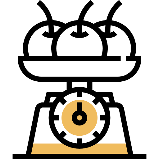 Scale icon
