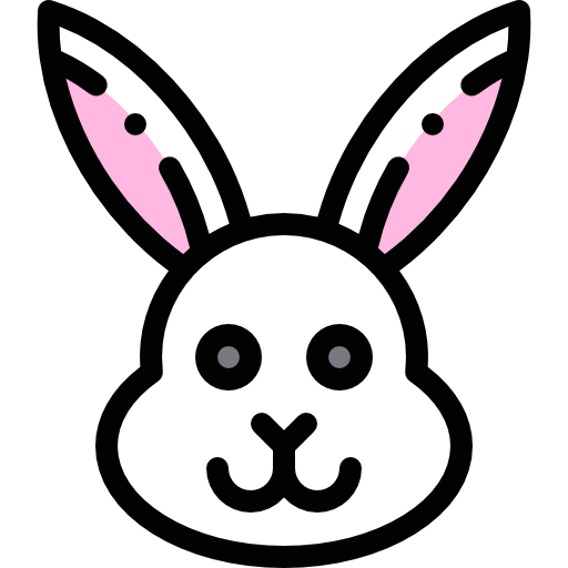 Rabbit 상