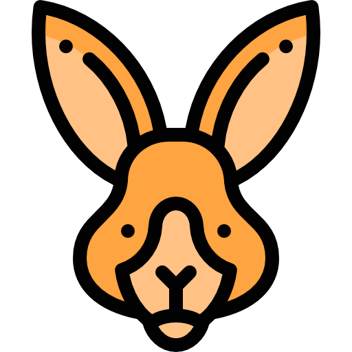 Kangaroo アイコン