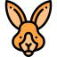 Kangaroo 图标 64x64