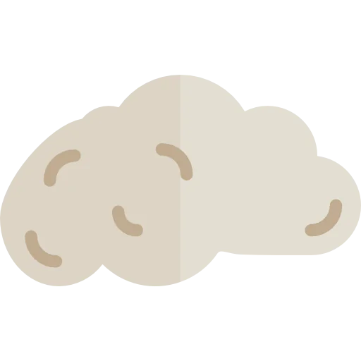 Brain icon