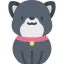 Dog biểu tượng 64x64