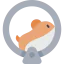 Hamster wheel biểu tượng 64x64