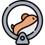 Hamster wheel アイコン 64x64
