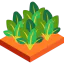 Spinach icon 64x64