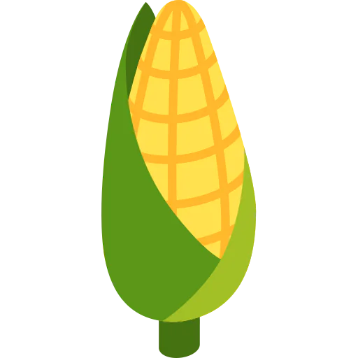 Corn icon