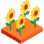 Sunflower icon 64x64