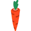 Carrot icon 64x64