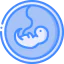 Fetus icon 64x64