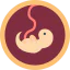 Fetus icon 64x64