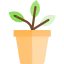 Potted plant icon 64x64