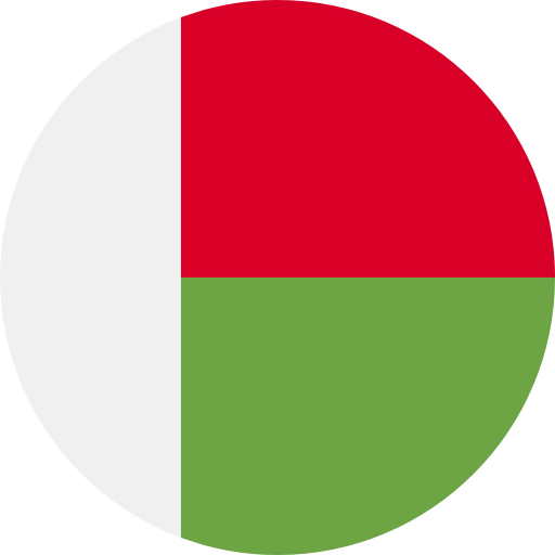 Madagascar ícone
