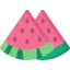 Watermelon 图标 64x64
