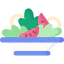 Salad 图标 64x64