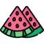 Watermelon icône 64x64