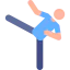 Martial arts icône 64x64
