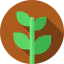 Plant icon 64x64