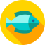Fish icon 64x64