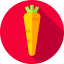 Carrot icon 64x64