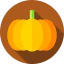 Pumpkin icon 64x64