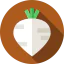 Beetroot icon 64x64