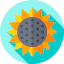 Sunflower icon 64x64