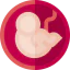 Fetus icon 64x64