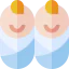 Twins icon 64x64